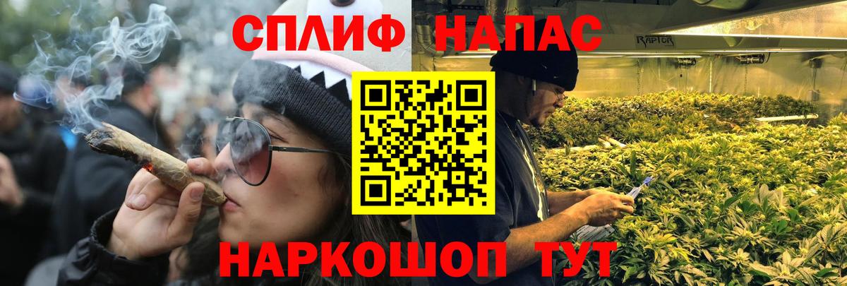 Конопля планчик Урус-Мартан